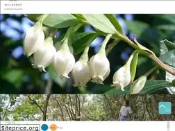 Sites similar to ogasawara-mulberry.net