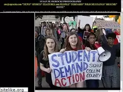 Sites similar to ogrocki.com