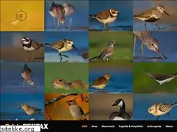 Sites similar to ogunturkay.com