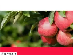 Sites similar to ohioapples.com