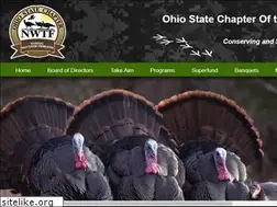Sites similar to ohionwtf.org