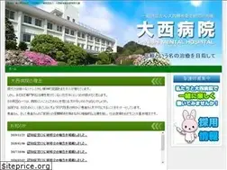 Sites similar to ohnishi-hp.or.jp