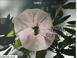 Sites similar to oimu-seoul.com