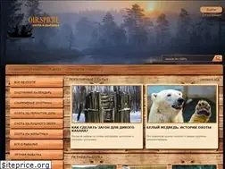 Sites similar to oir.spb.ru