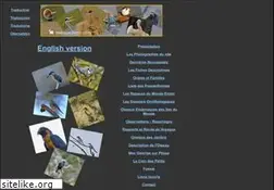 Sites similar to oiseaux-birds.com