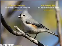 Sites similar to oiseaux.ca