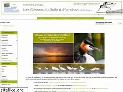 Sites similar to oiseauxdugolfe-morbihan.fr