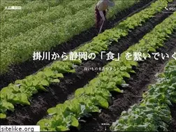 Sites similar to oishi-seed.com