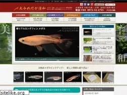 Sites similar to oitamedakabiyori.com
