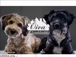 Sites similar to oivaelainklinikka.fi