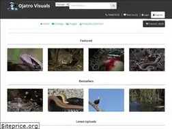 Sites similar to ojatrovisuals.com
