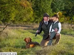 Sites similar to ojv.hu