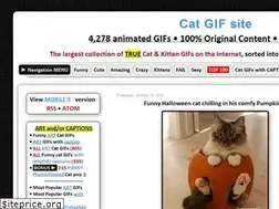 Sites similar to ok-cats.blogspot.com