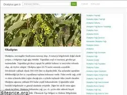 Sites similar to okaliptus.gen.tr