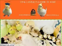 Sites similar to okame.fun