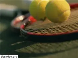 Sites similar to okazaki-tennis.com