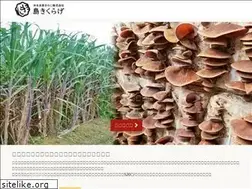 Sites similar to okierabukinoko.com