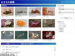Sites similar to okinawa-zukan.com