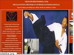 Sites similar to okinawakenpodssi.com