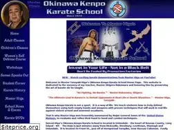 Sites similar to okinawakenpokarate.com