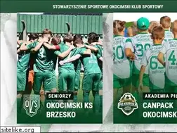 Sites similar to okocimski.com