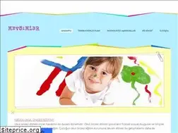 Sites similar to okuloncesimevsimler.weebly.com