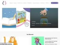 Sites similar to okuloncesiyiz.com
