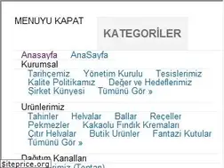 Sites similar to okyaygida.com.tr