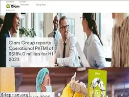Sites similar to olamgroup.com