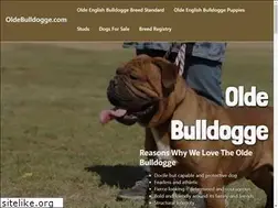 Sites similar to oldebulldogge.com