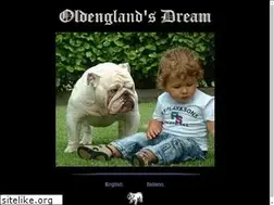 Sites similar to oldengland.it