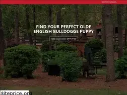 Sites similar to oldenglishbulldogpuppies.com