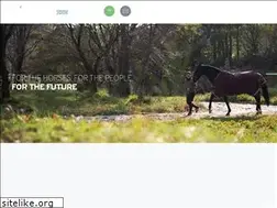 Sites similar to oldfriendsjapan.com