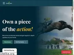 Sites similar to oldgoldracing.com