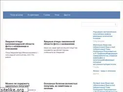 Sites similar to oldloft.ru