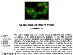 Sites similar to oliferenkolab.uk