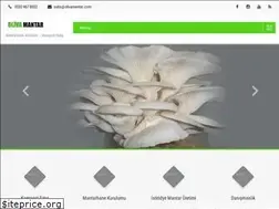 Sites similar to olivamantar.com
