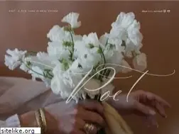 Sites similar to oliveandjuneflorals.com