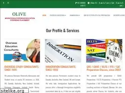 Sites similar to olivegroup.org