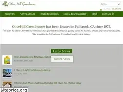 Sites similar to olivehill.net
