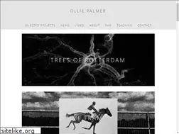 Sites similar to olliepalmer.com