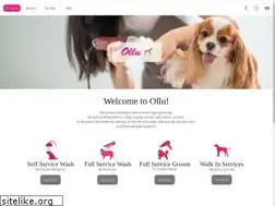 Sites similar to olludogwash.com