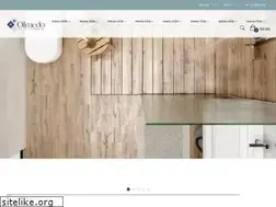 Sites similar to olmedosaneamientos.es
