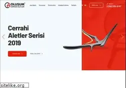 Sites similar to olusumcerrahi.com
