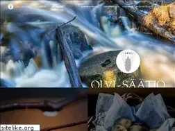 Sites similar to olvisaatio.fi