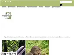 Sites similar to omacha.org