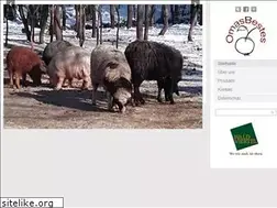 Sites similar to omasbestes.at