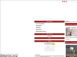 Sites similar to omerdogru.com