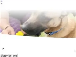 Sites similar to omshantipups.com