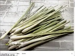 Sites similar to omtim.com